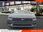 2024 Ford Mustang EcoBoost Fastback