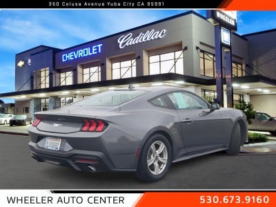 2024 Ford Mustang EcoBoost Fastback